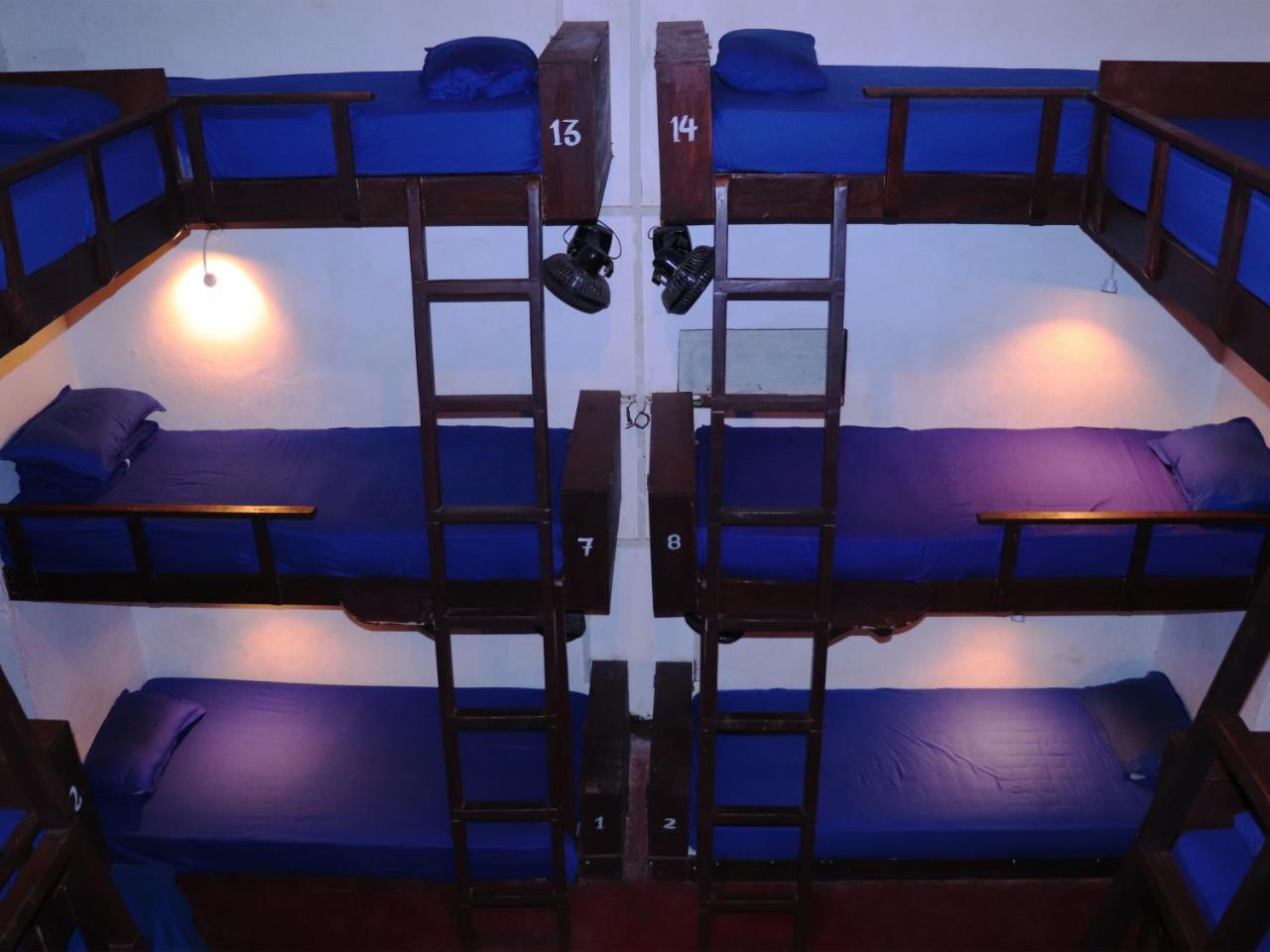 That Crazy Hostel Anjuna Buitenkant foto